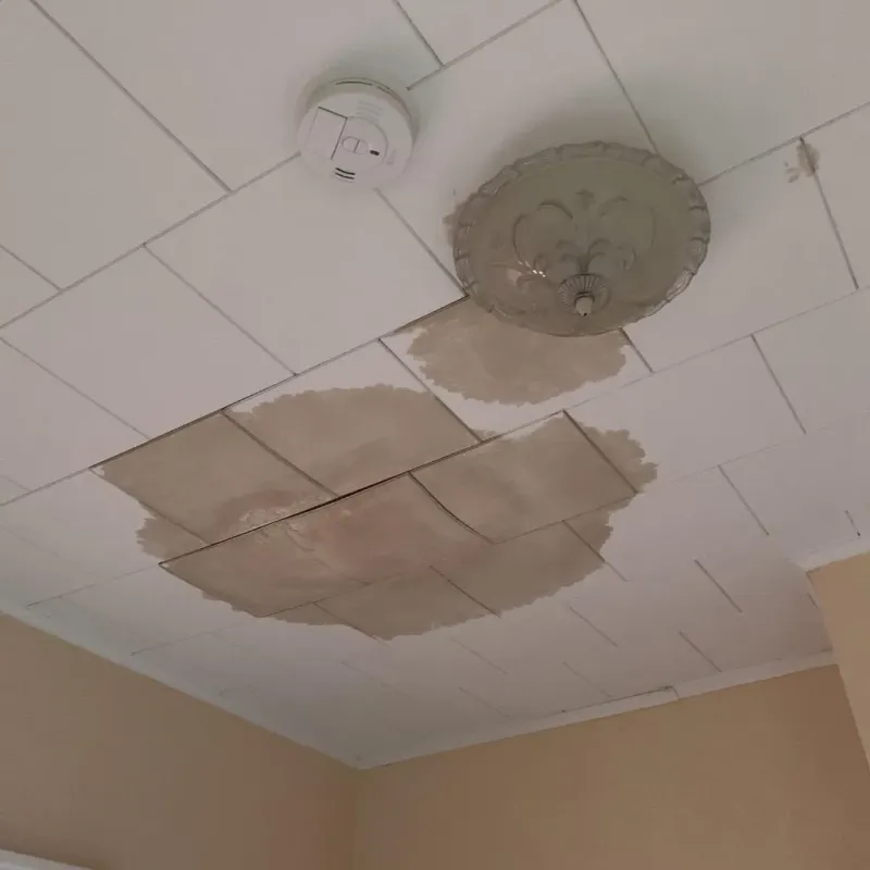 Ceiling Water Damage Repair in Park River, ND