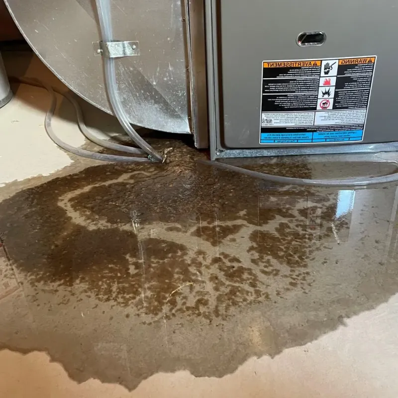 Pipe Burst and Leak Restoration in Park River, ND