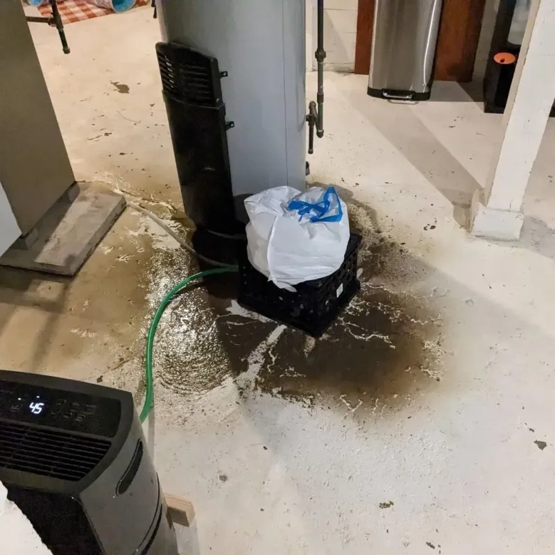 Sewage Backup Cleanup Service in Park River, ND